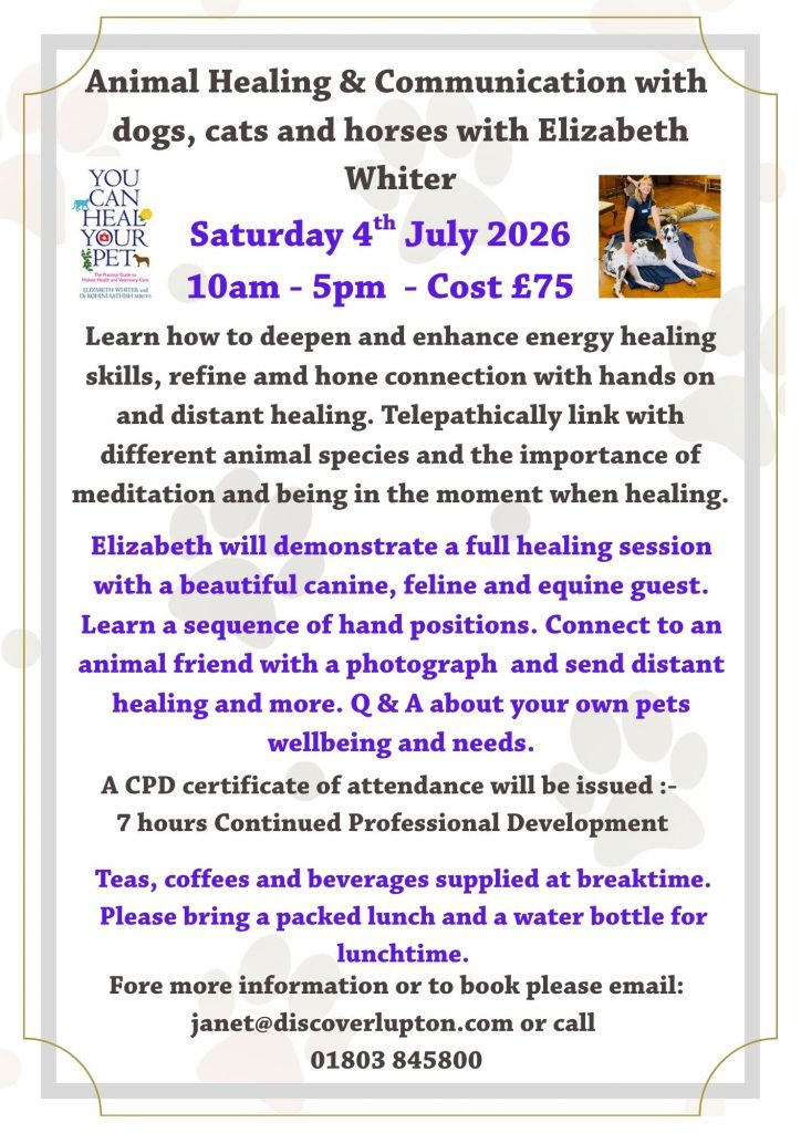 Animal Healing & Communications with Dogs, Cats & Horses